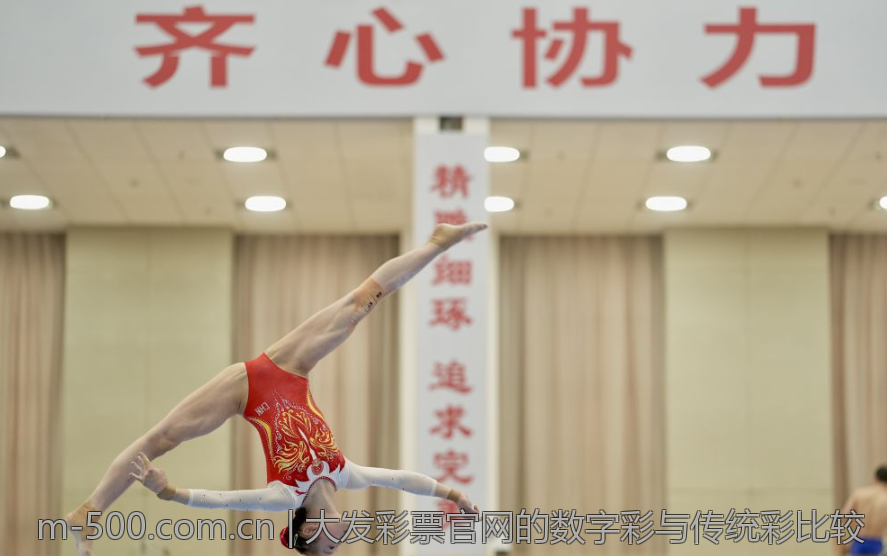 大发彩票官网的数字彩与传统彩比较